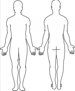 Front and back body outline